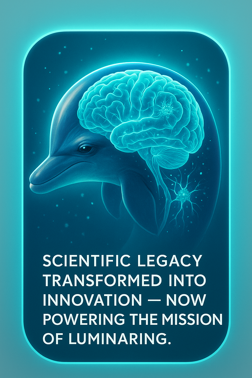 Dolphin Brain Imaging